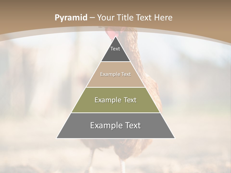 Outdoors Outside Feathers PowerPoint Template