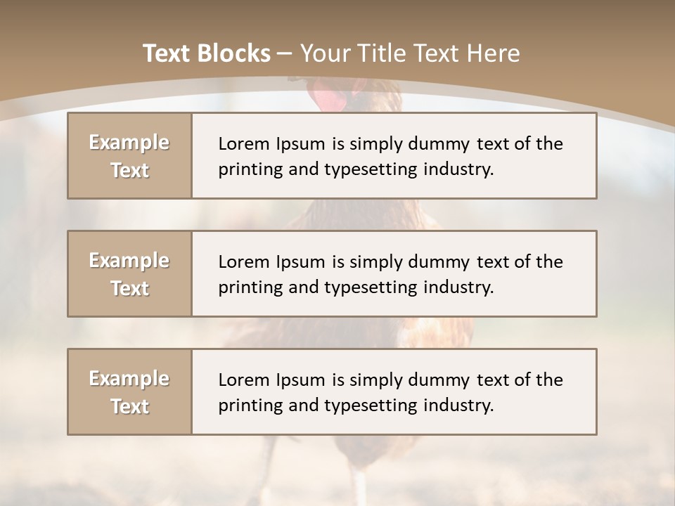Outdoors Outside Feathers PowerPoint Template