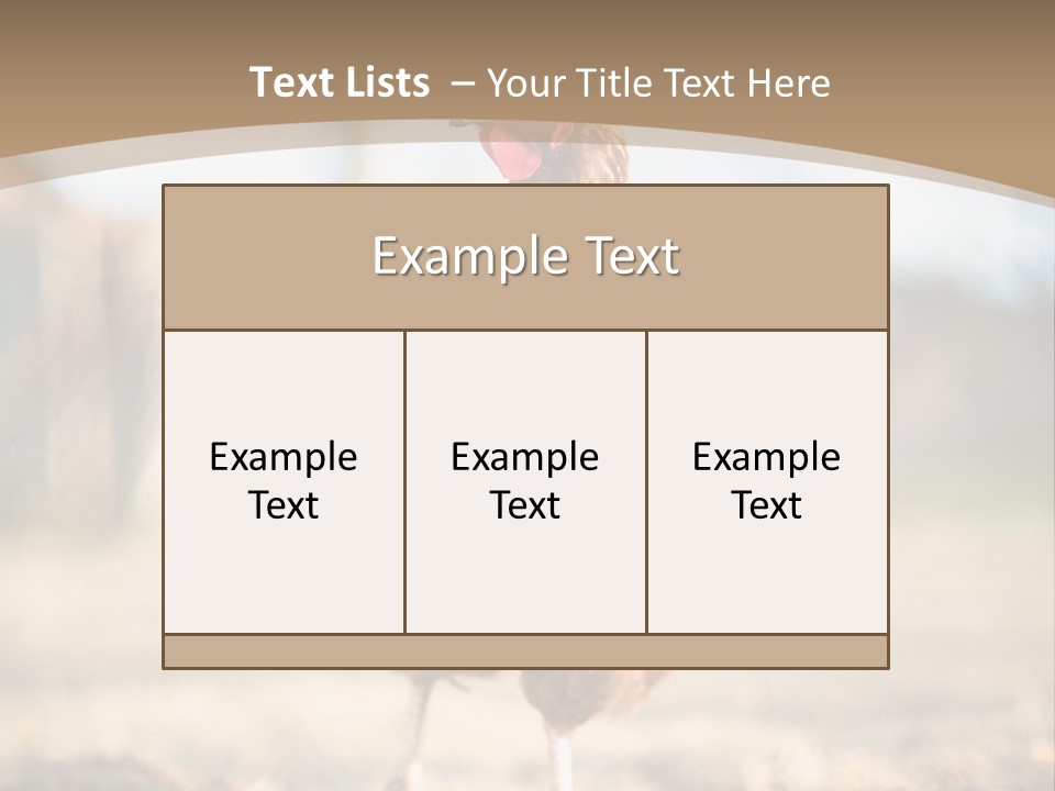 Outdoors Outside Feathers PowerPoint Template