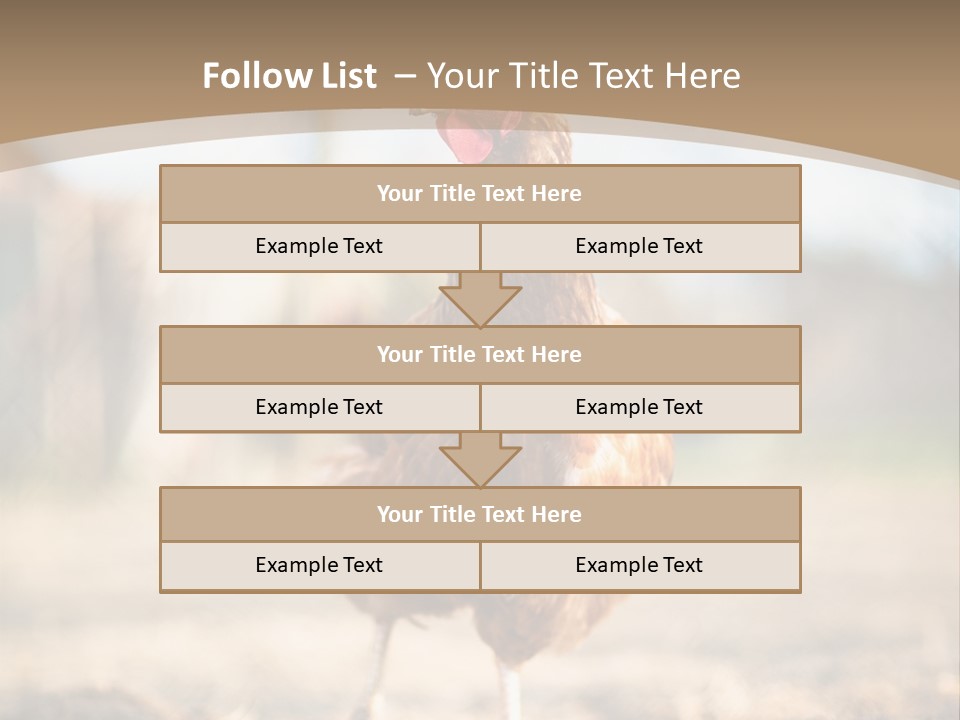 Outdoors Outside Feathers PowerPoint Template