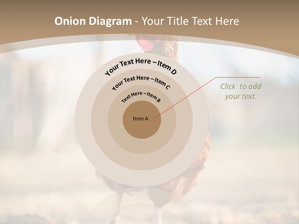 Outdoors Outside Feathers PowerPoint Template