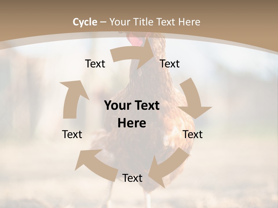 Outdoors Outside Feathers PowerPoint Template