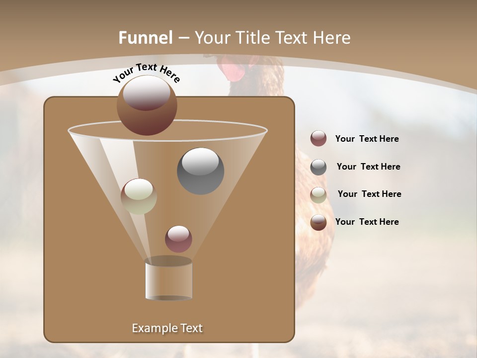 Outdoors Outside Feathers PowerPoint Template