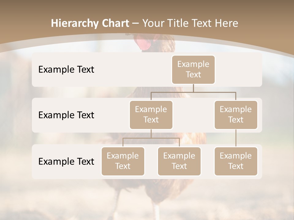 Outdoors Outside Feathers PowerPoint Template