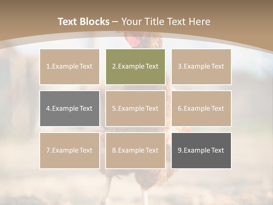 Outdoors Outside Feathers PowerPoint Template