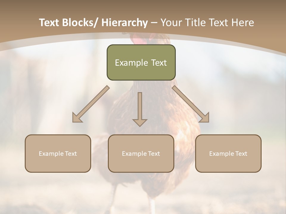 Outdoors Outside Feathers PowerPoint Template