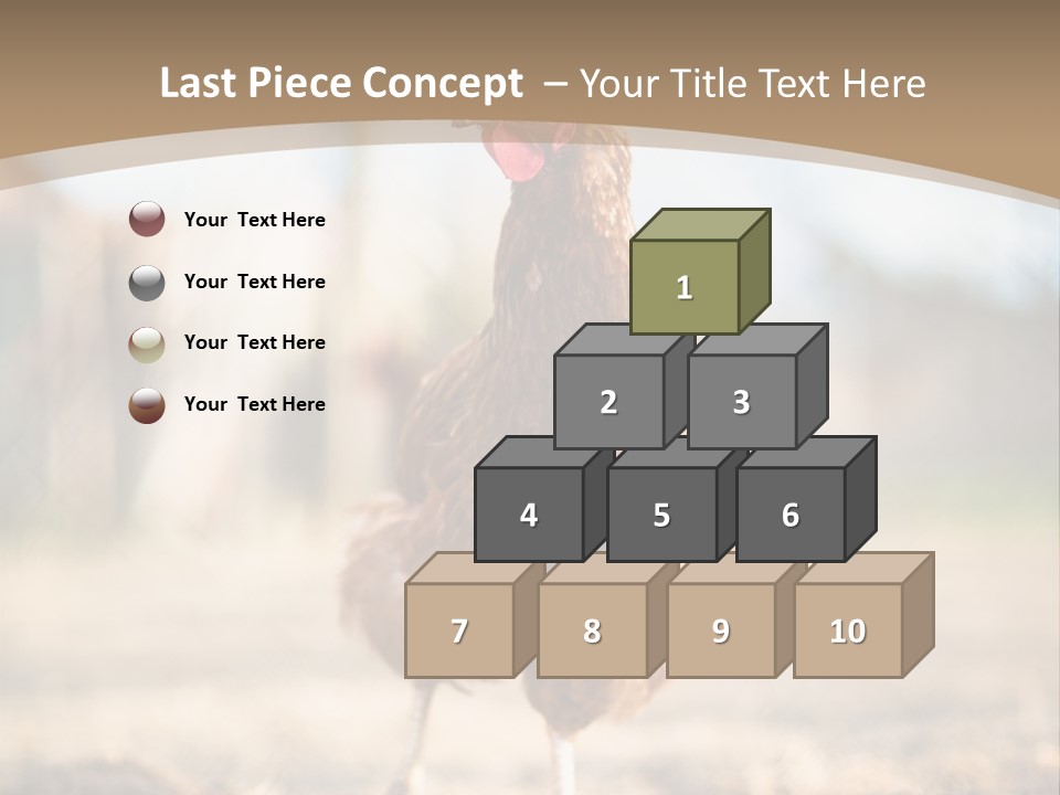 Outdoors Outside Feathers PowerPoint Template