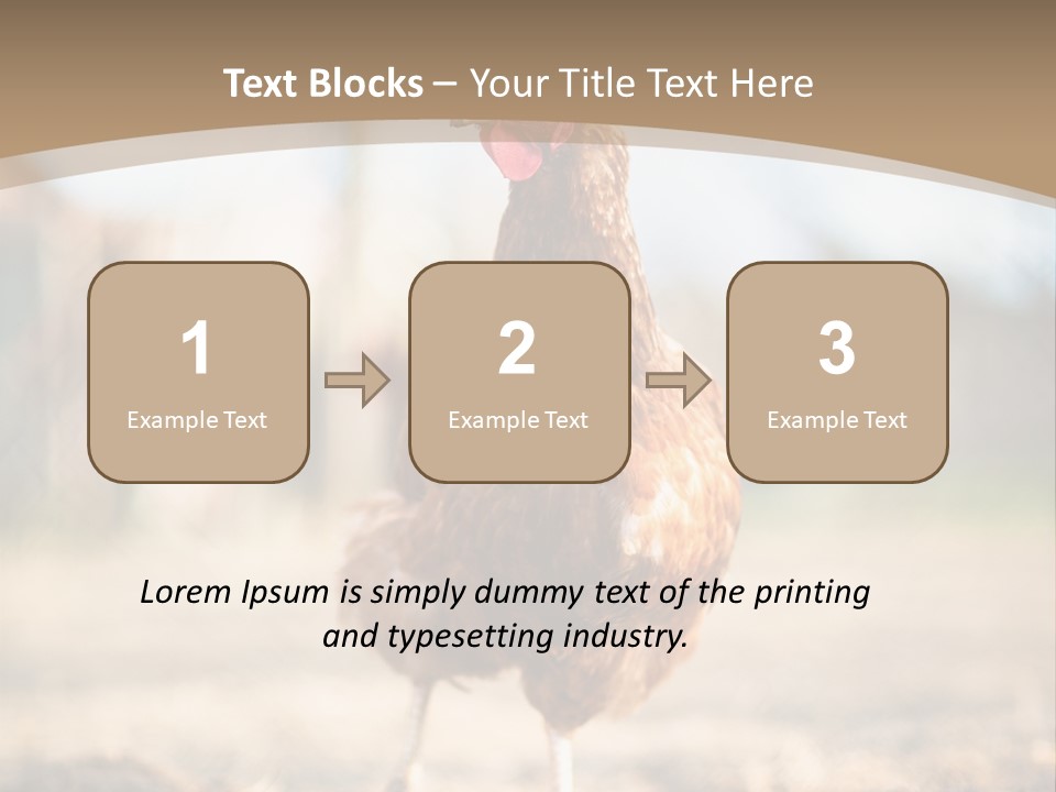 Outdoors Outside Feathers PowerPoint Template