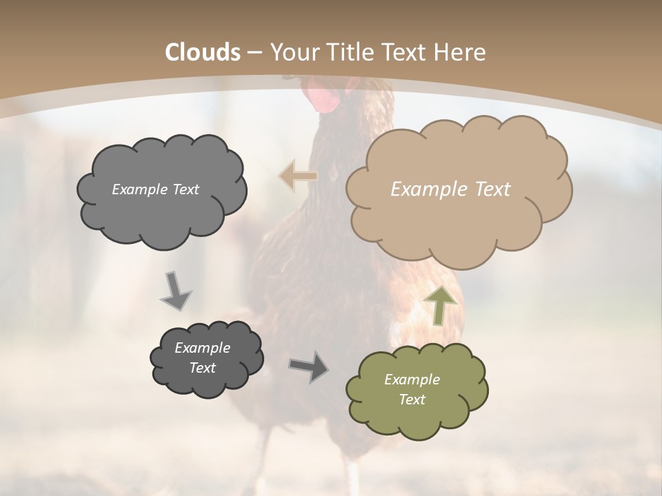 Outdoors Outside Feathers PowerPoint Template