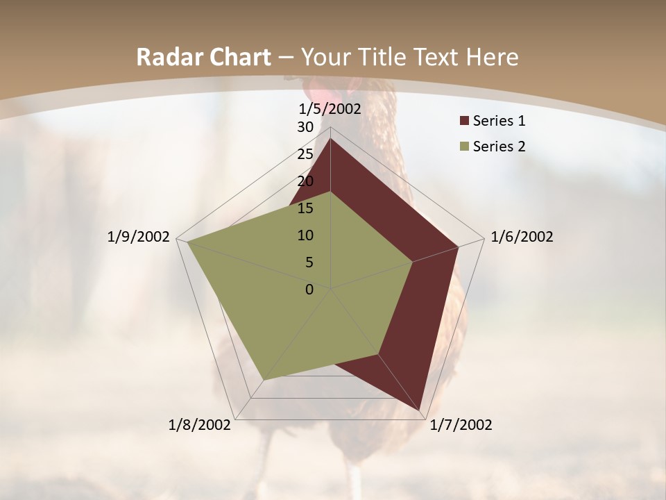 Outdoors Outside Feathers PowerPoint Template