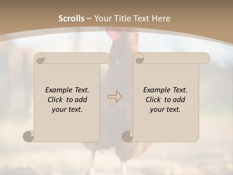 Outdoors Outside Feathers PowerPoint Template