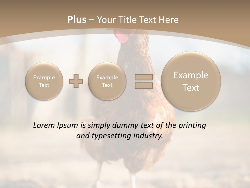 Outdoors Outside Feathers PowerPoint Template