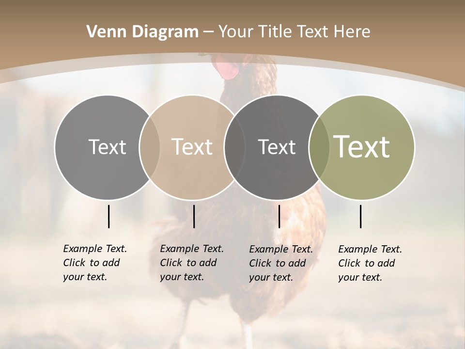 Outdoors Outside Feathers PowerPoint Template