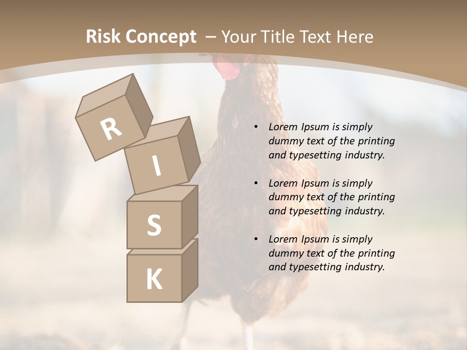 Outdoors Outside Feathers PowerPoint Template