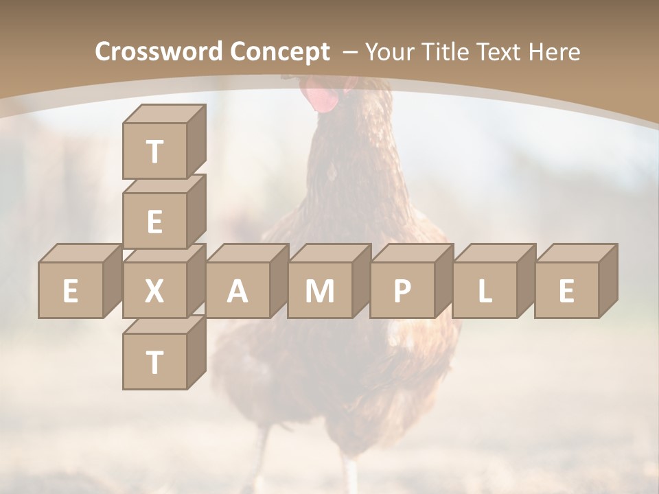 Outdoors Outside Feathers PowerPoint Template