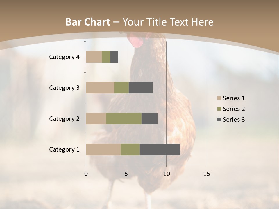 Outdoors Outside Feathers PowerPoint Template
