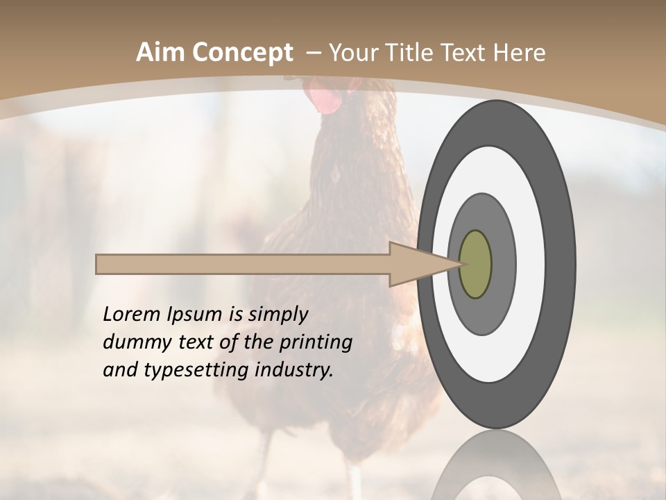 Outdoors Outside Feathers PowerPoint Template