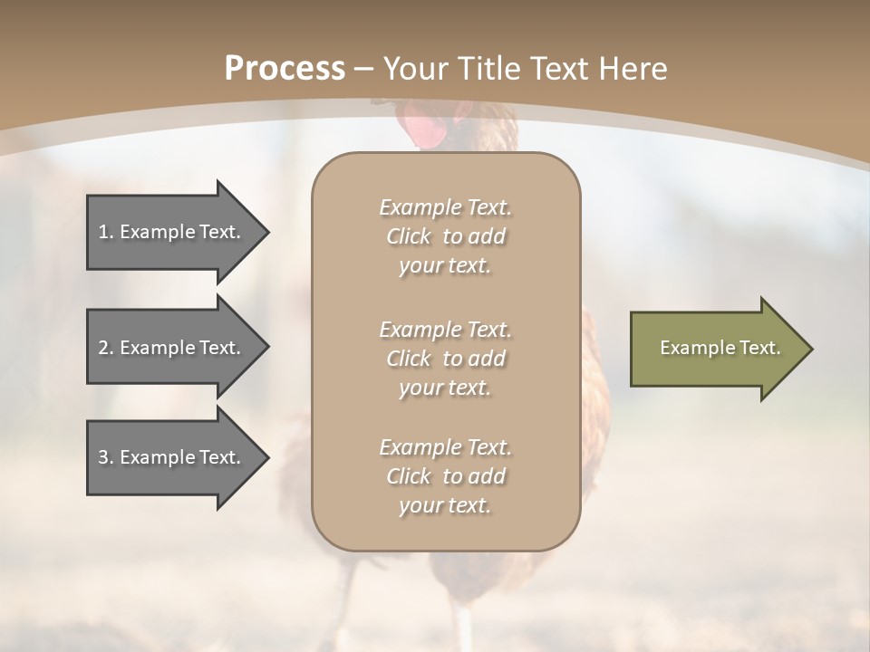 Outdoors Outside Feathers PowerPoint Template