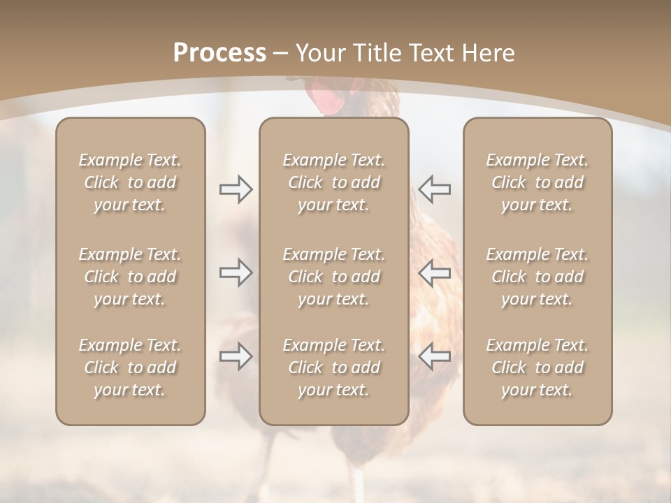 Outdoors Outside Feathers PowerPoint Template