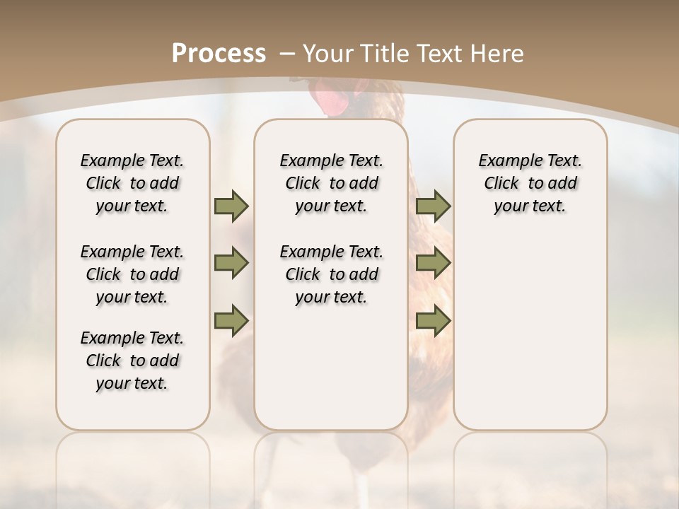Outdoors Outside Feathers PowerPoint Template