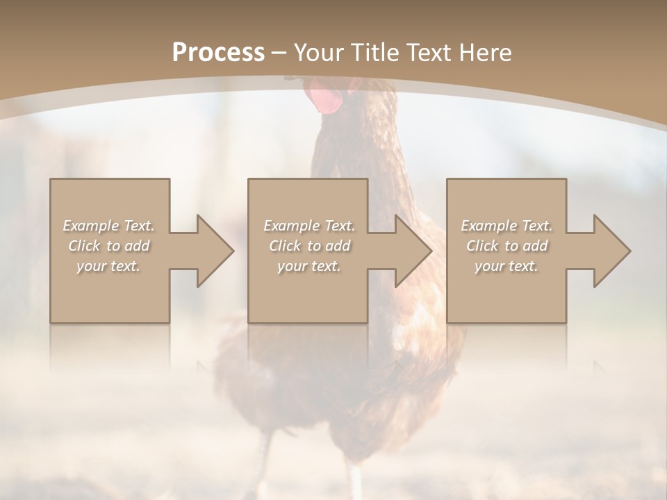 Outdoors Outside Feathers PowerPoint Template