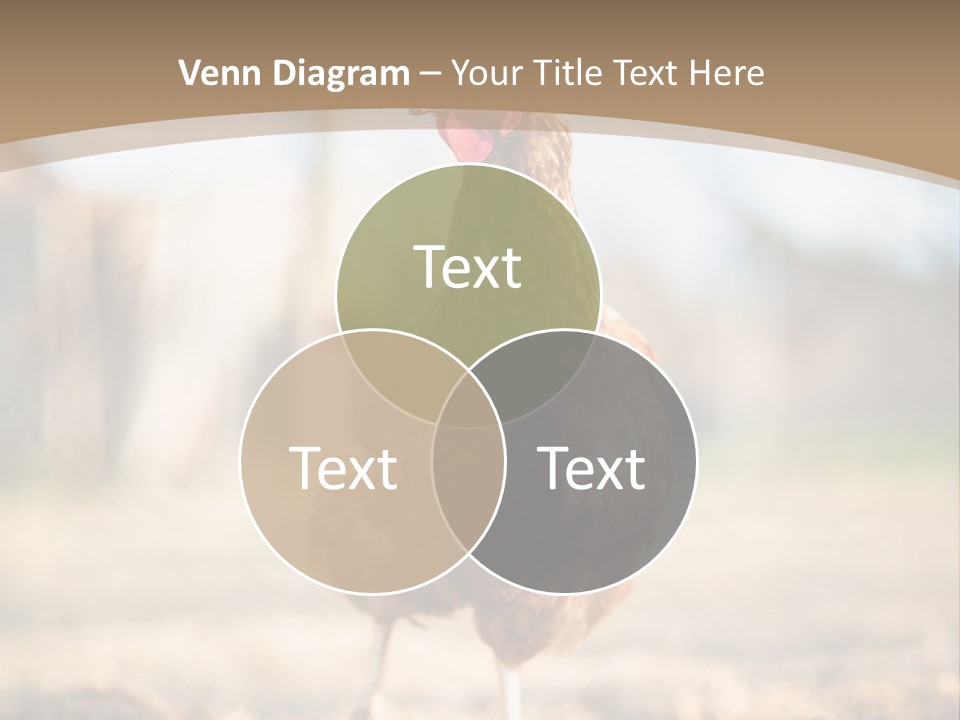 Outdoors Outside Feathers PowerPoint Template