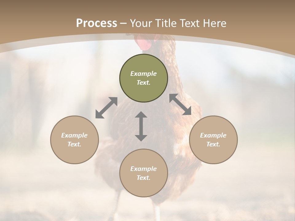 Outdoors Outside Feathers PowerPoint Template