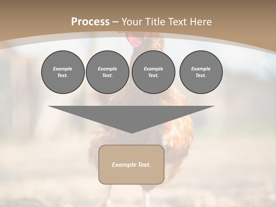 Outdoors Outside Feathers PowerPoint Template