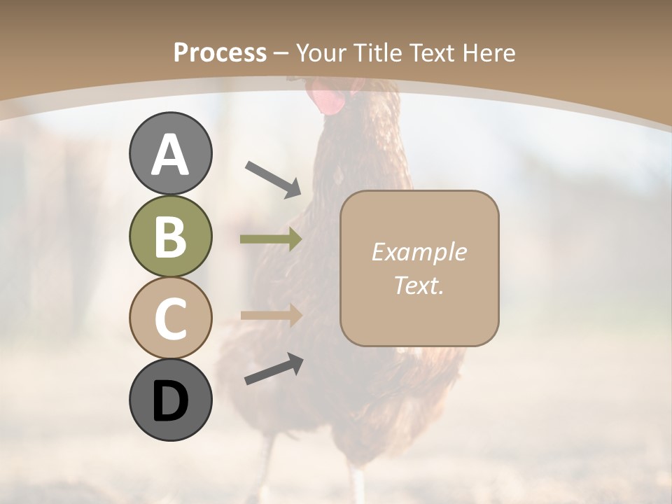 Outdoors Outside Feathers PowerPoint Template