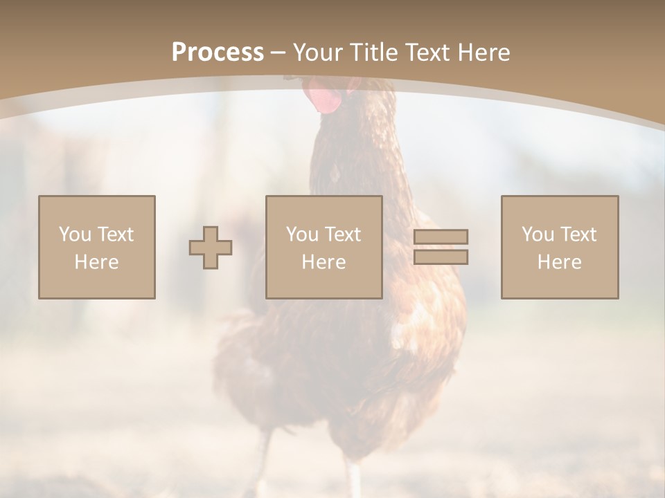 Outdoors Outside Feathers PowerPoint Template