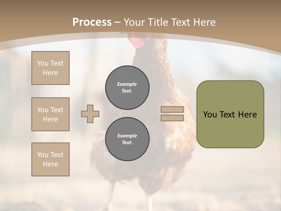 Outdoors Outside Feathers PowerPoint Template