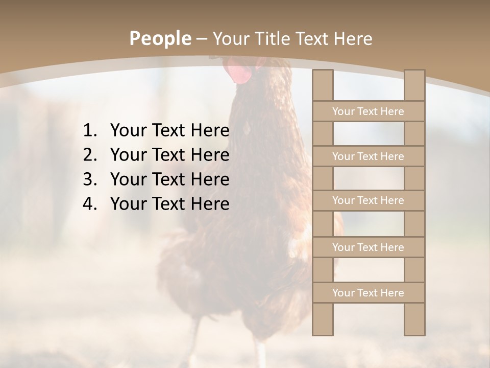 Outdoors Outside Feathers PowerPoint Template