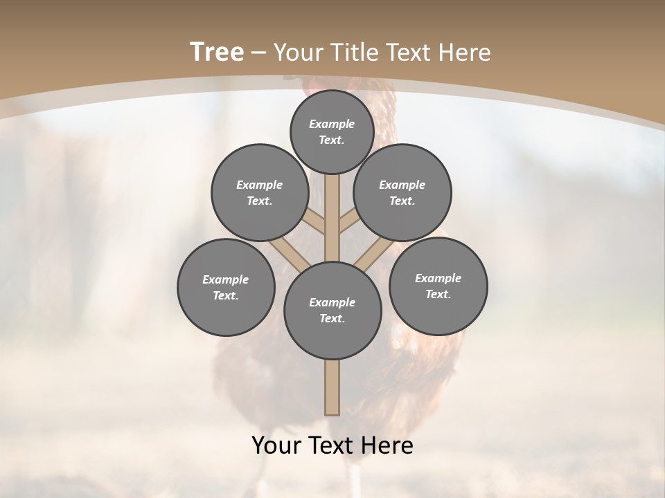 Outdoors Outside Feathers PowerPoint Template