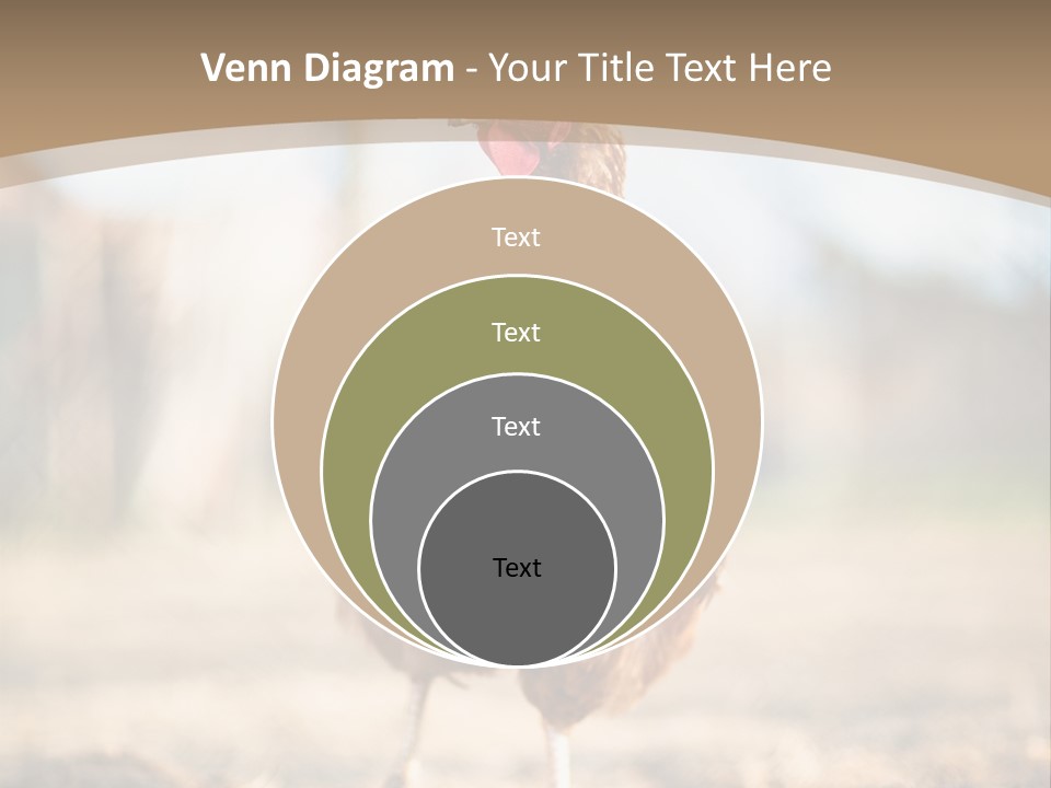 Outdoors Outside Feathers PowerPoint Template