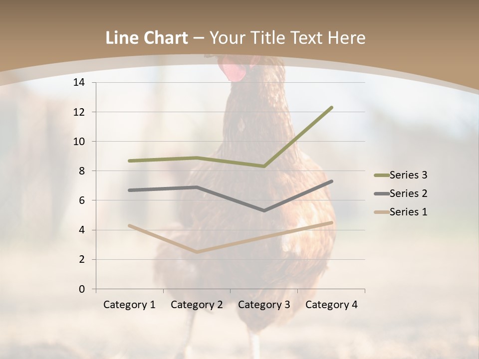 Outdoors Outside Feathers PowerPoint Template