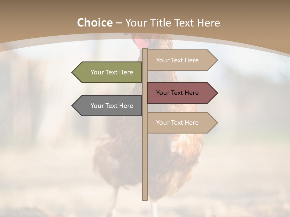 Outdoors Outside Feathers PowerPoint Template