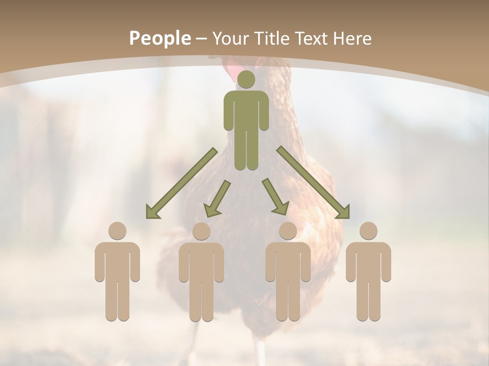 Outdoors Outside Feathers PowerPoint Template