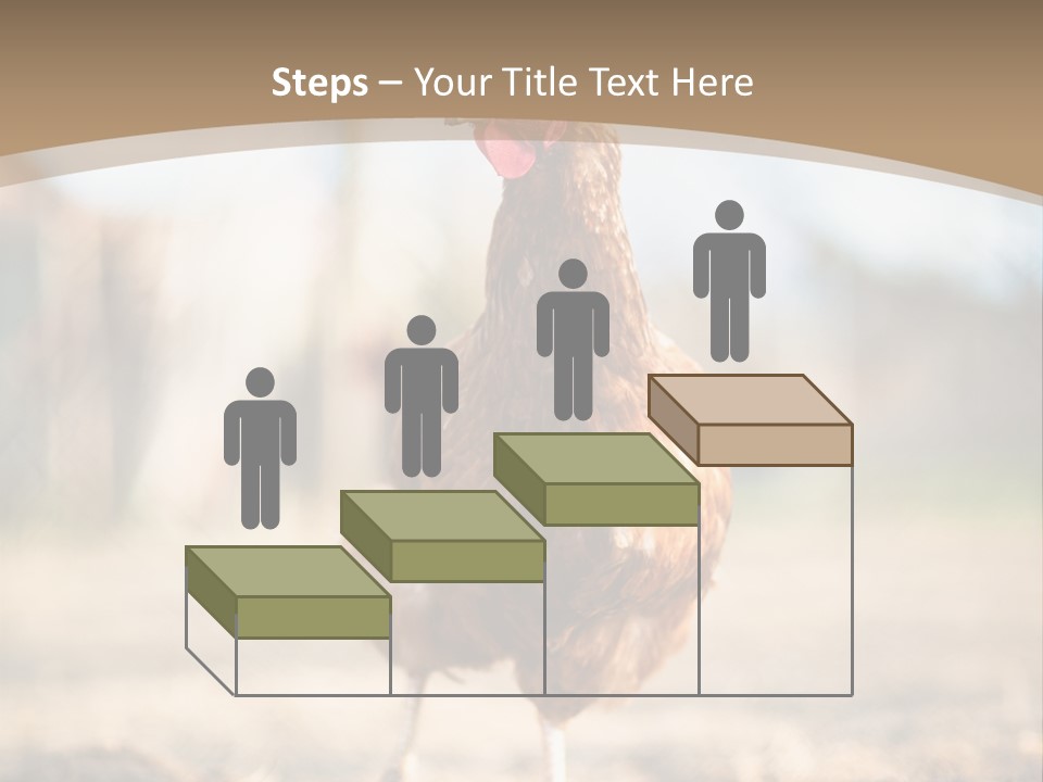 Outdoors Outside Feathers PowerPoint Template