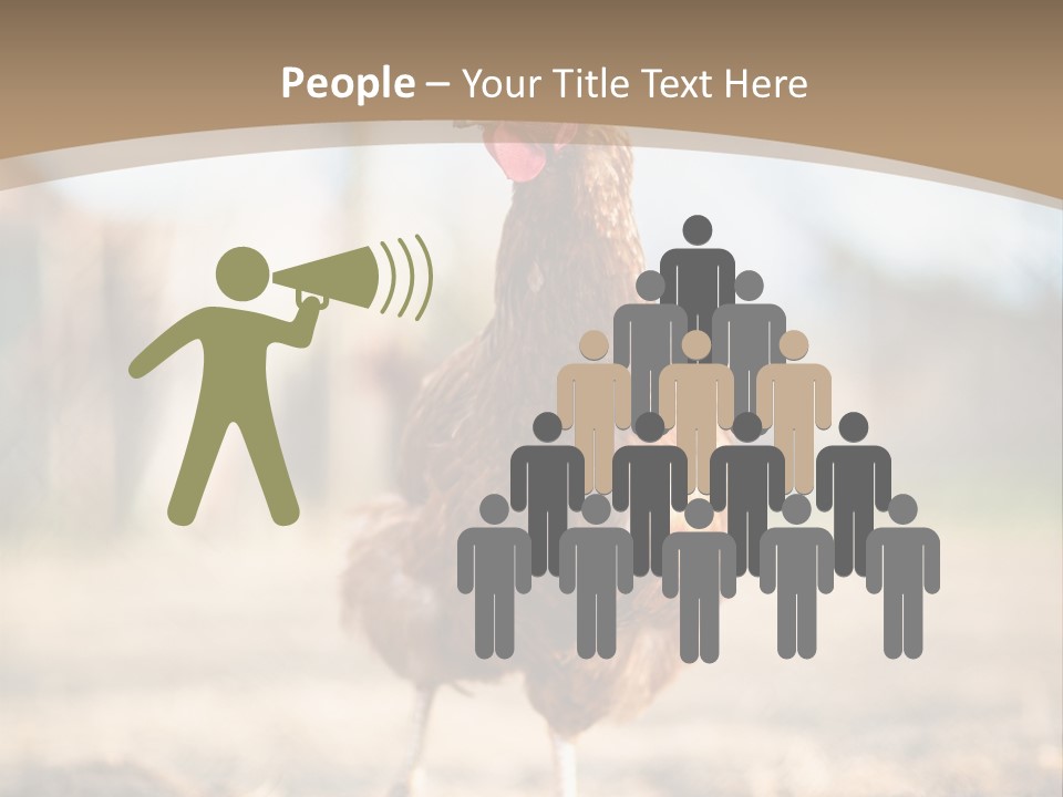 Outdoors Outside Feathers PowerPoint Template