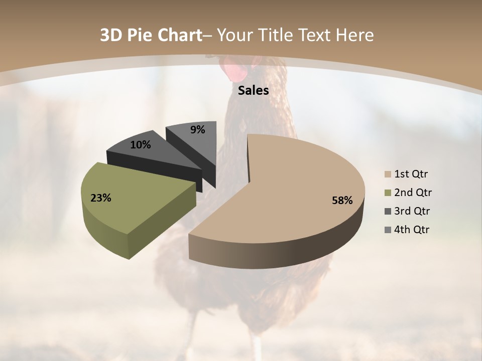 Outdoors Outside Feathers PowerPoint Template