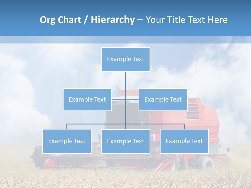 Produce Growing Harvest PowerPoint Template