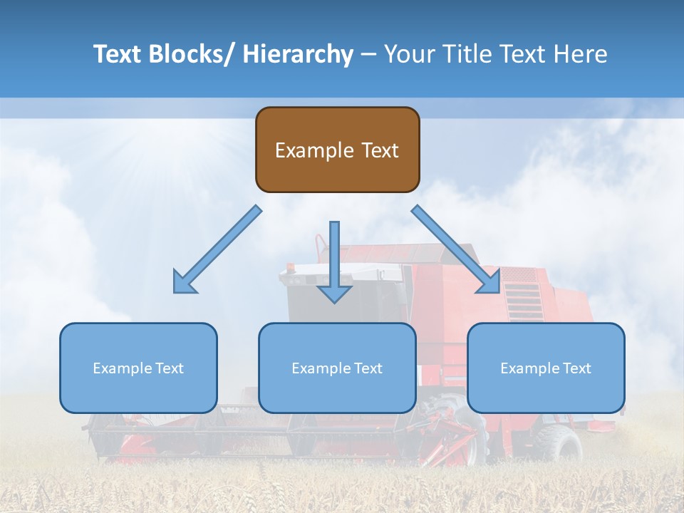 Produce Growing Harvest PowerPoint Template