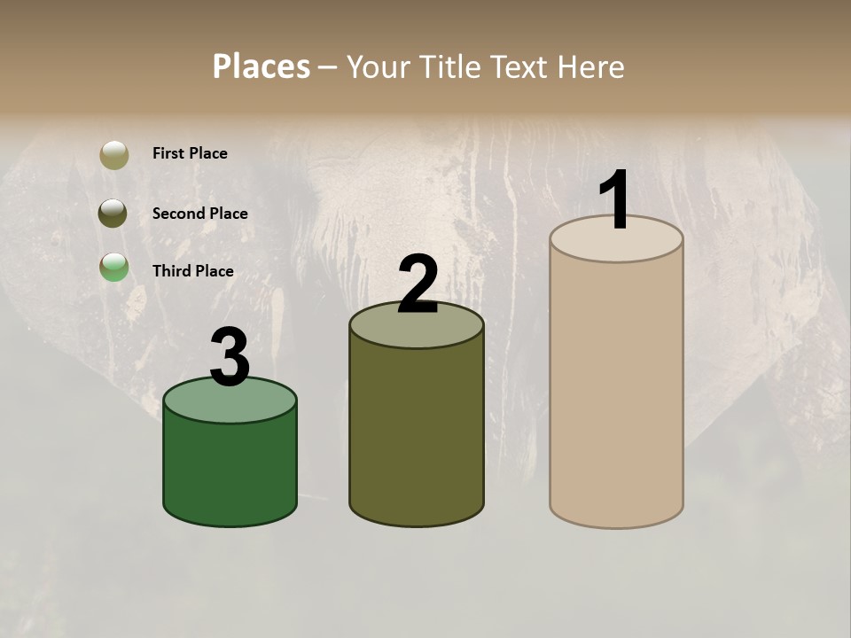 Wise Animal Nature PowerPoint Template