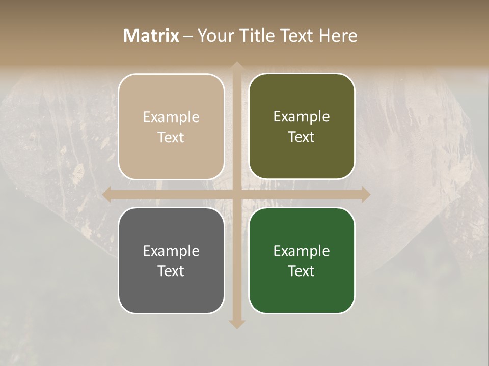 Wise Animal Nature PowerPoint Template