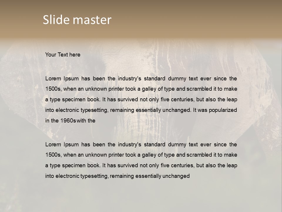 Wise Animal Nature PowerPoint Template