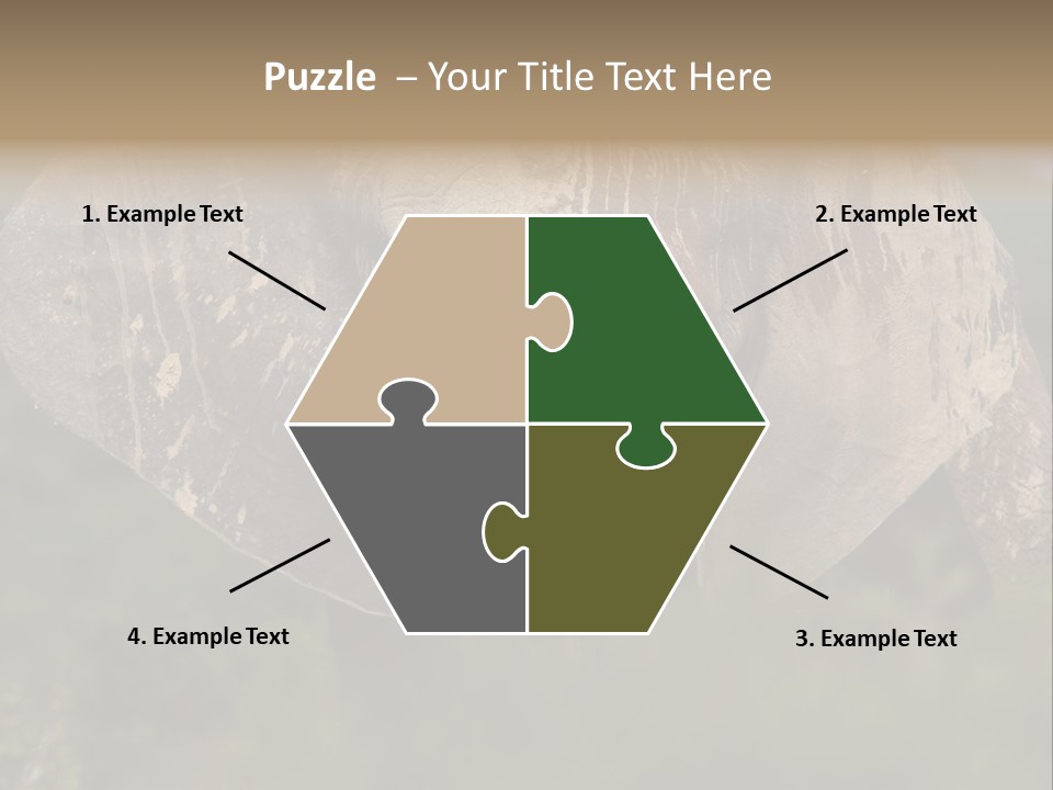 Wise Animal Nature PowerPoint Template