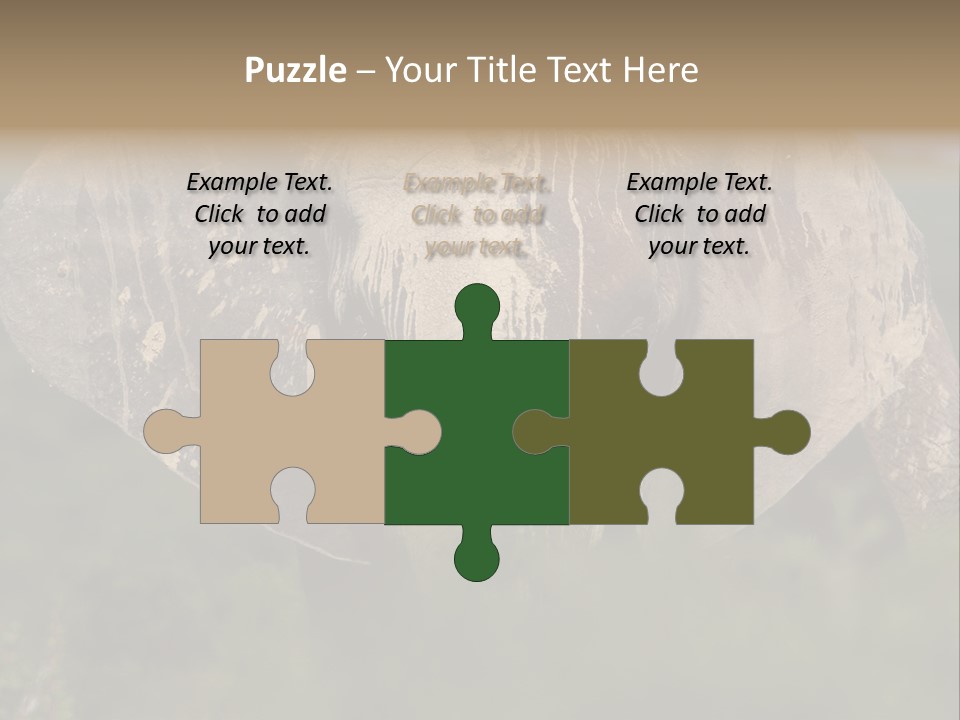 Wise Animal Nature PowerPoint Template