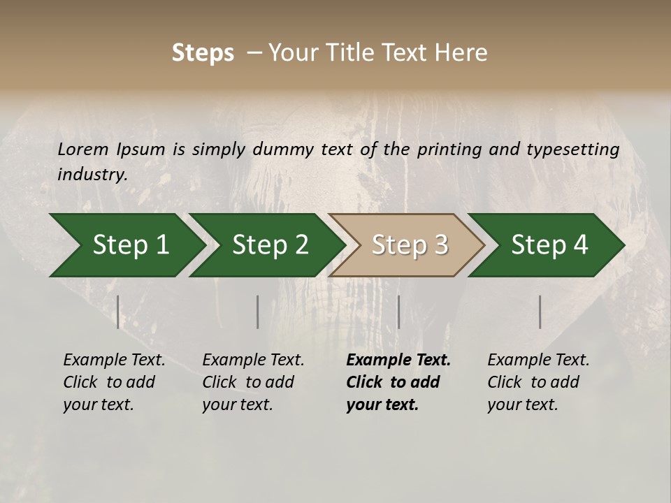 Wise Animal Nature PowerPoint Template