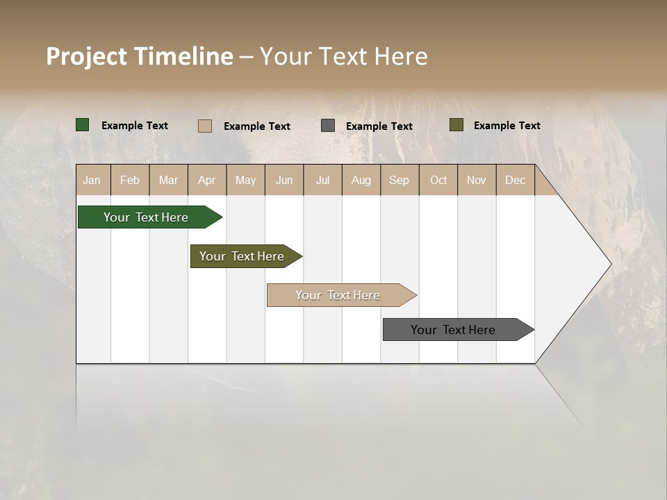 Wise Animal Nature PowerPoint Template
