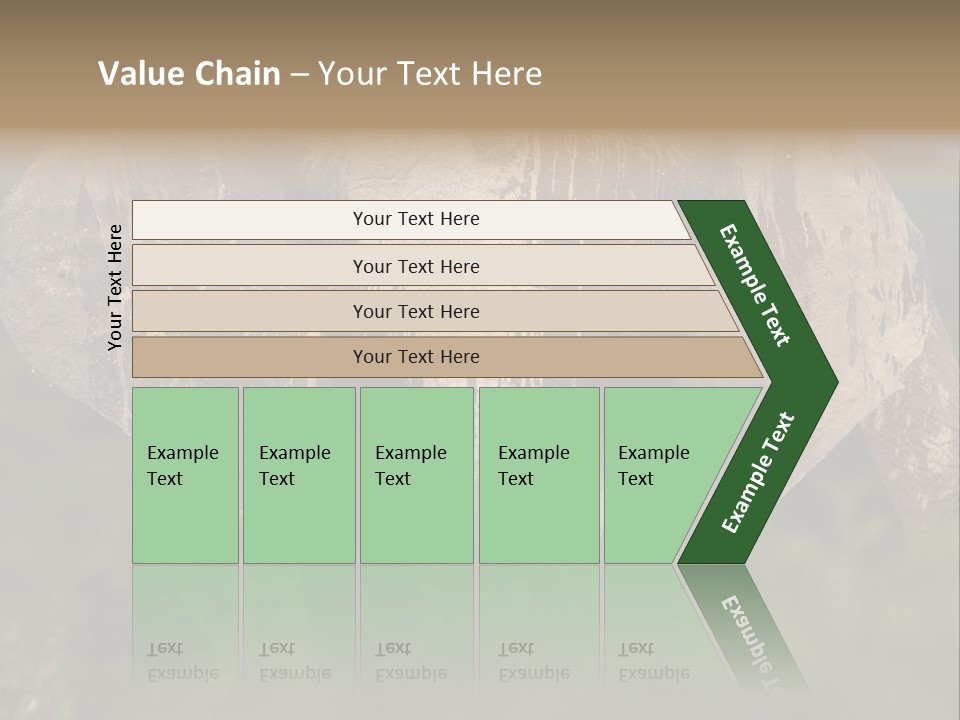 Wise Animal Nature PowerPoint Template